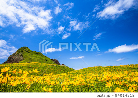 【新潟県･佐渡】花の島　大野亀　5月～6月 94014518