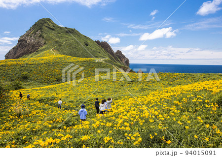 【新潟県・佐渡】花の島 佐渡 大野亀 5月 6月 【新潟県・佐渡】花の島 佐渡 大野亀 5月 6月 94015091