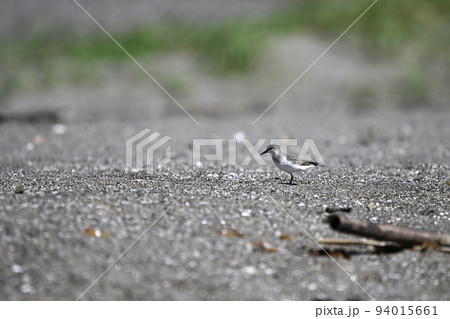 トウネン 94015661