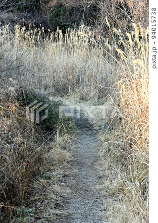 厚木市鳶尾山のハイキングコース 94015738