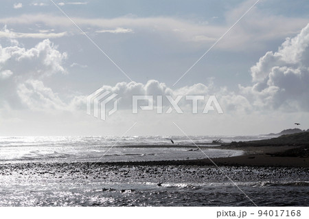 sea and beach in newzealand sea and beach in newzealand 94017168