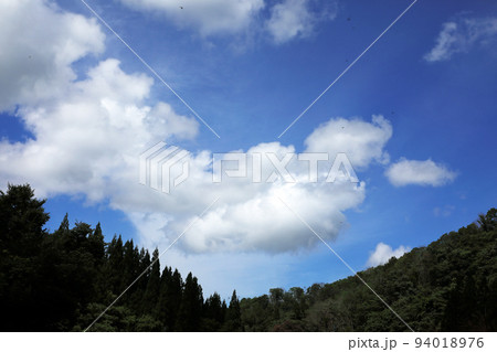 爽秋の青い空と白い雲を飛びまわるトンボがいっぱい 福島県只見町 爽秋の青い空と白い雲を飛びまわるトンボがいっぱい 福島県只見町 94018976
