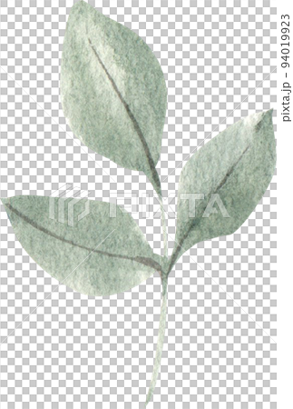 Cozy chic wedding icon watercolor png 94019923