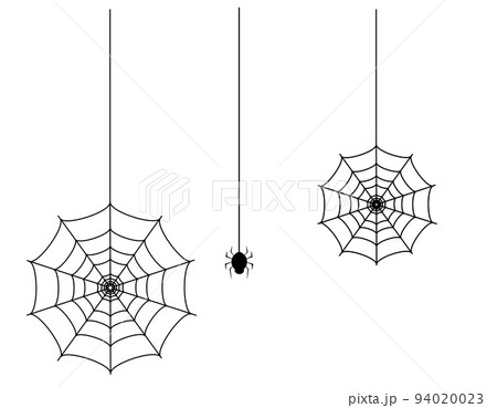 クモ 蜘蛛の巣 ベクターイラストのイラスト素材