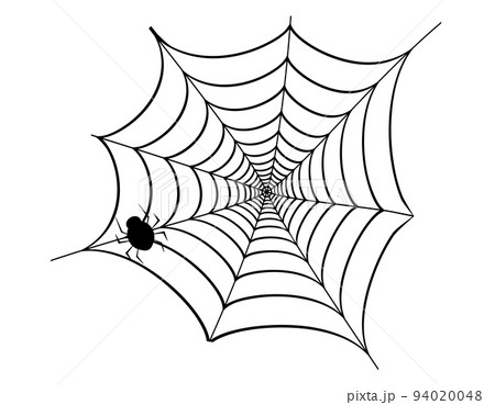 クモ 蜘蛛の巣 ベクターイラストのイラスト素材