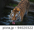虎（トラ） 94020322