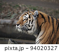 虎（トラ） 94020327