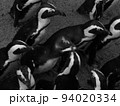 動物園のペンギンの集まり 94020334