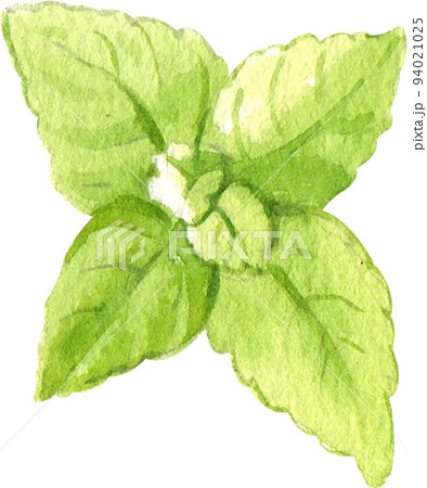 Sundae Ice cream day and decor icon watercolor png 94021025