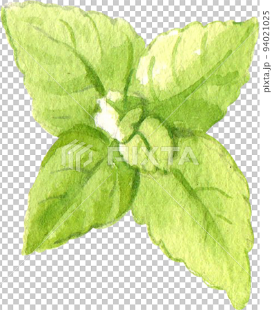 Sundae Ice cream day and decor icon watercolor png 94021025