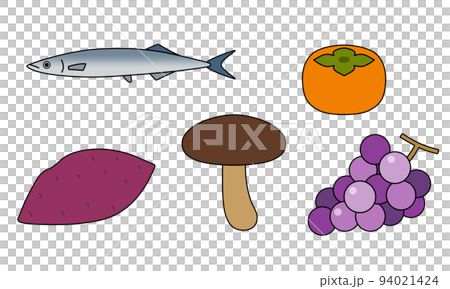 はっきりとした線で描かれた秋の食べ物のイラストセット 94021424