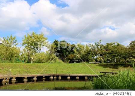 爽やかな空の下公園を散策する 緑の残る秋の風景 古河 爽やかな空の下公園を散策する 緑の残る秋の風景 古河 94021465