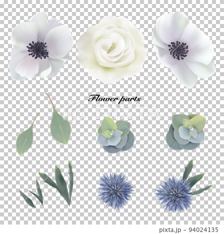 花卉和葉子植物的插圖零件材料 94024135