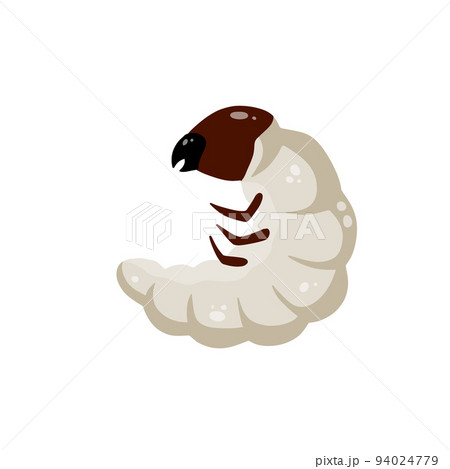 Insect larva. White caterpillar. Little worm parasite. 94024779