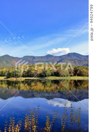 秋の知床五湖の二湖 ( 北海道 斜里町 ) 94024799