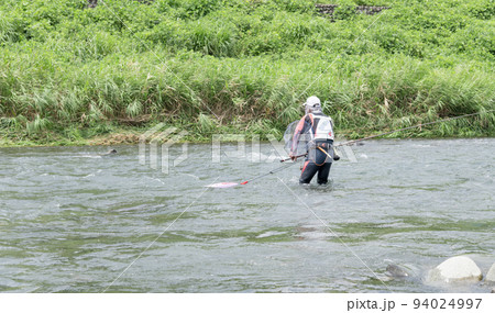 【夏の中津川で鮎釣り】 【夏の中津川で鮎釣り】 94024997