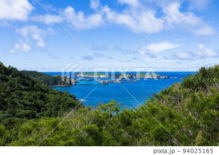 中山峠からブタ海岸へ　小笠原 94025165