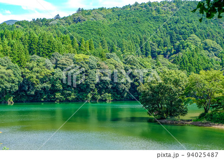 大台 さくらの里公園 大台 さくらの里公園 94025487