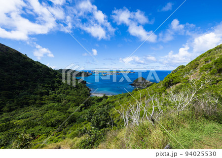 中山峠からブタ海岸へハイキング　父島 94025530