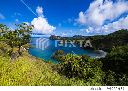小港海岸　小笠原諸島　父島 94025981