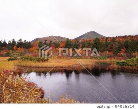 紅葉の睡蓮沼 紅葉の睡蓮沼 94026814
