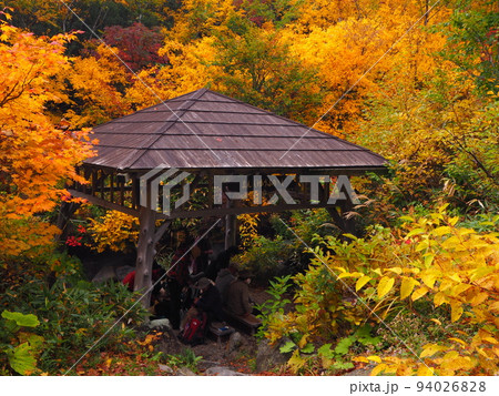 紅葉の酸ヶ湯温泉周辺 まんじゅうふかし 紅葉の酸ヶ湯温泉周辺 まんじゅうふかし 94026828