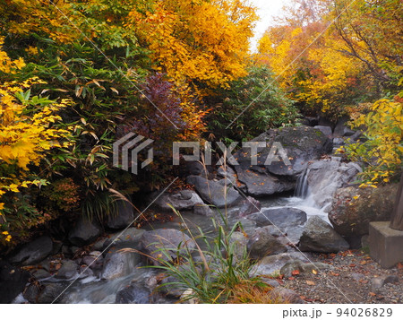 紅葉の酸ヶ湯温泉周辺 紅葉の酸ヶ湯温泉周辺 94026829