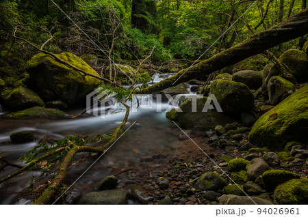 苔生す川俣川渓谷の風景　吐竜の滝付近 94026961