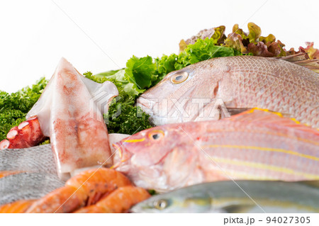 魚介類の盛り合わせ 魚介類の盛り合わせ 94027305