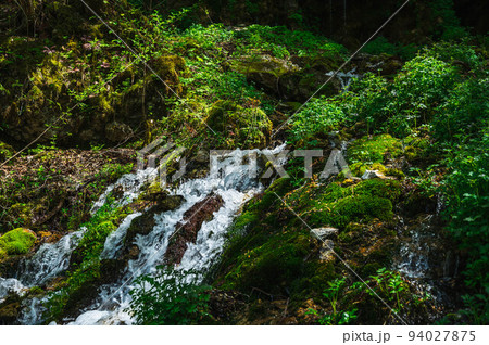岩肌から湧き出る水 岩肌から湧き出る水 94027875