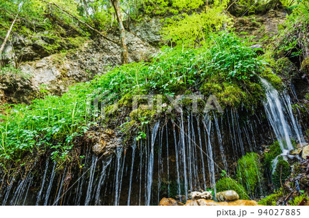 山から湧き出す水 94027885
