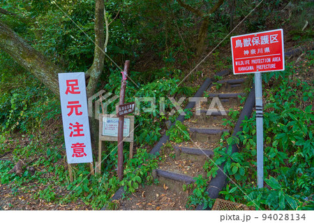 神奈川県秦野市の弘法山公園入口 94028134