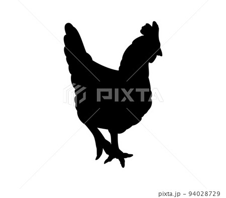 Hen or chicken silhouette isolated in white background. Free grazing hen bird in the runch 94028729