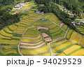 俯瞰で見る越畑の棚田 94029529
