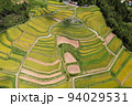 俯瞰で見る越畑の棚田 94029531