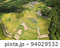 俯瞰で見る越畑の棚田 94029532