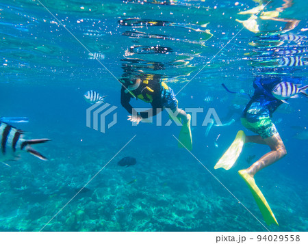 シュノーケリングを楽しむ子ども 94029558
