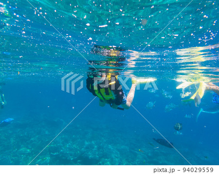シュノーケリングを楽しむ子ども シュノーケリングを楽しむ子ども 94029559