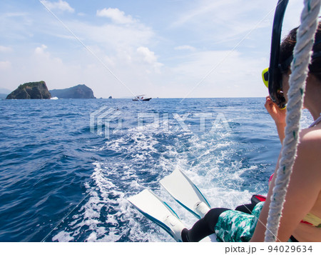 イルカ シュノーケリングを楽しむ イルカ シュノーケリングを楽しむ 94029634