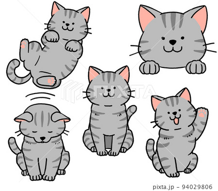 サバトラ猫のセットのイラスト素材 サバトラ猫のセットのイラスト素材