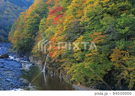 秋山郷の秋　錦秋の中津川渓谷 94030000