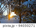 雪景色/Snow 94030271