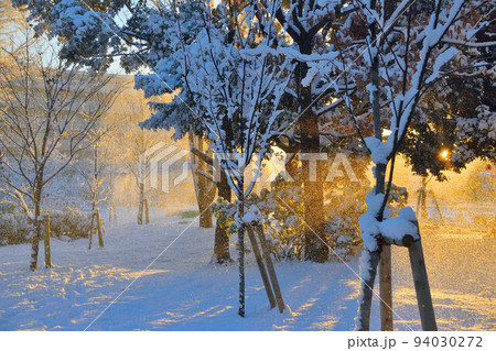 雪景色/Snow 94030272