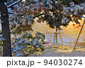 雪景色/Snow 94030274