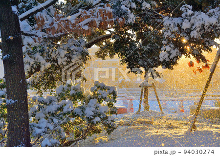 雪景色/Snow 94030274
