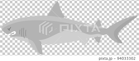 巨齒鯊 94033302