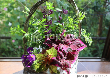 庭の花を出窓に飾る 庭の花を出窓に飾る 94033697