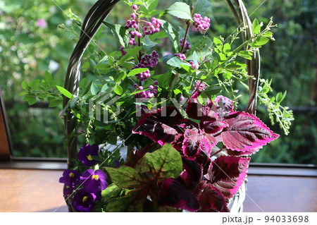 庭の花を窓辺に飾る 94033698