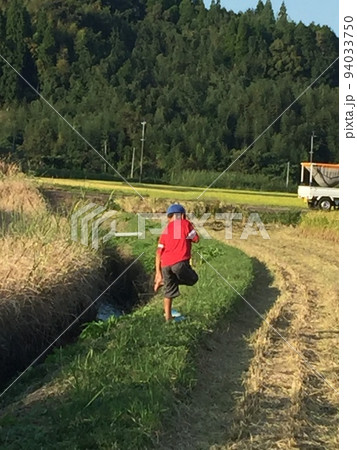 稲刈り手伝い中の子供 稲刈り手伝い中の子供 94033750