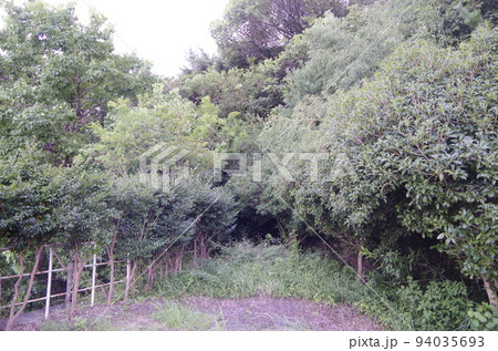 奥条三番口農村公園　風景 94035693